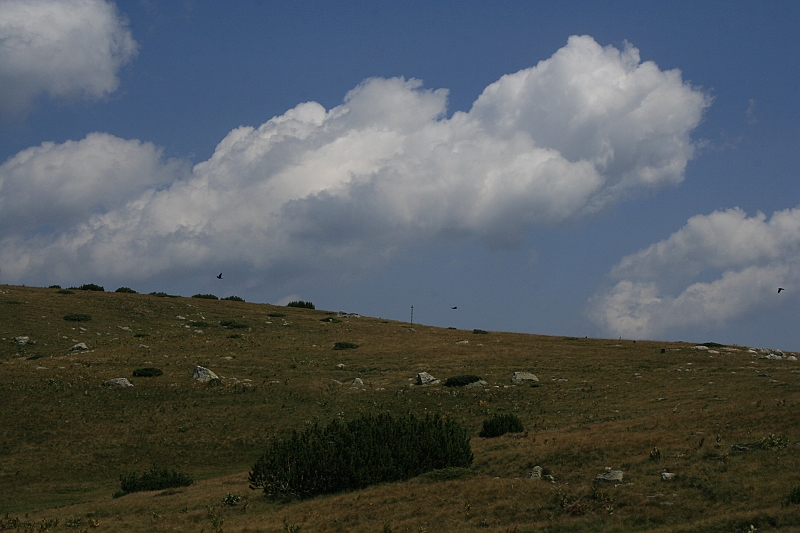 Bulgaria 2008 393
